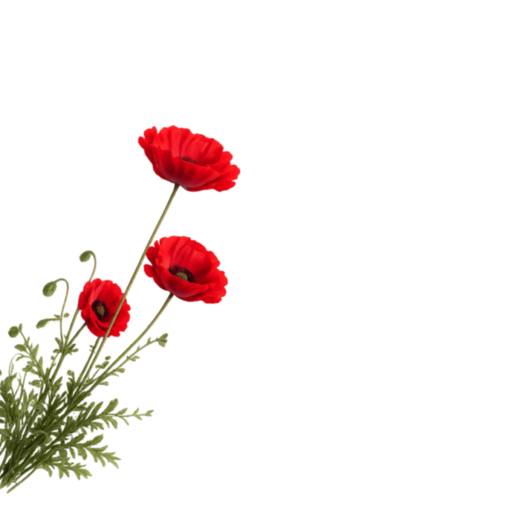 untitled design (38)